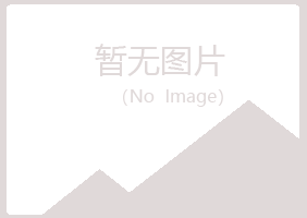 乐山埋没会计有限公司